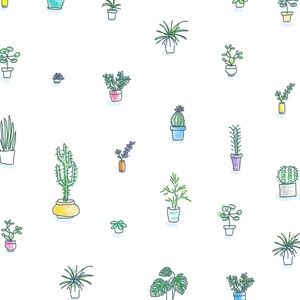 Meet your Posher, Lina